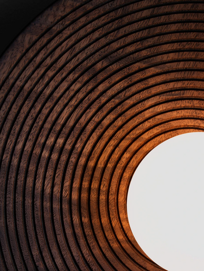 Concentric wall light