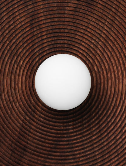 Concentric wall light